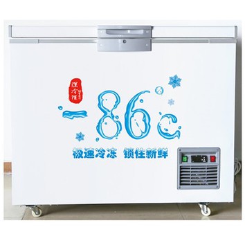 Recipient de gel sec